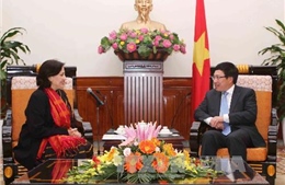  Phó Thủ tướng, Bộ trưởng Ngoại giao Phạm Bình Minh tiếp các Đại sứ Cuba, Ấn Độ